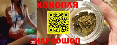 трава Шелехов