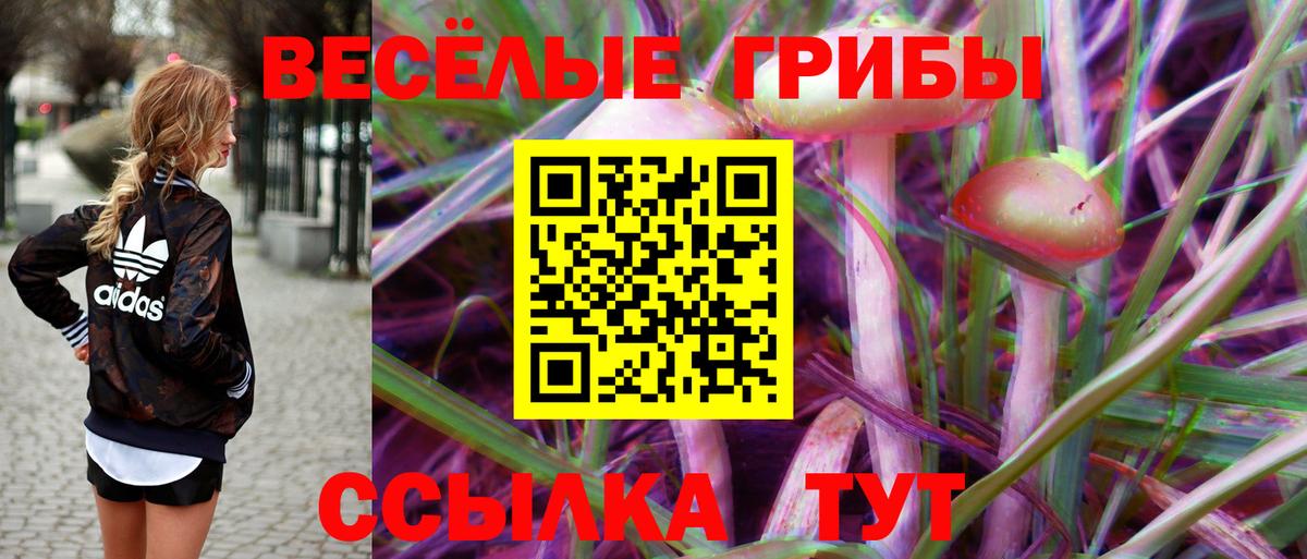 Псилоцибиновые грибы GOLDEN TEACHER  Вход с VPN  Медногорск 